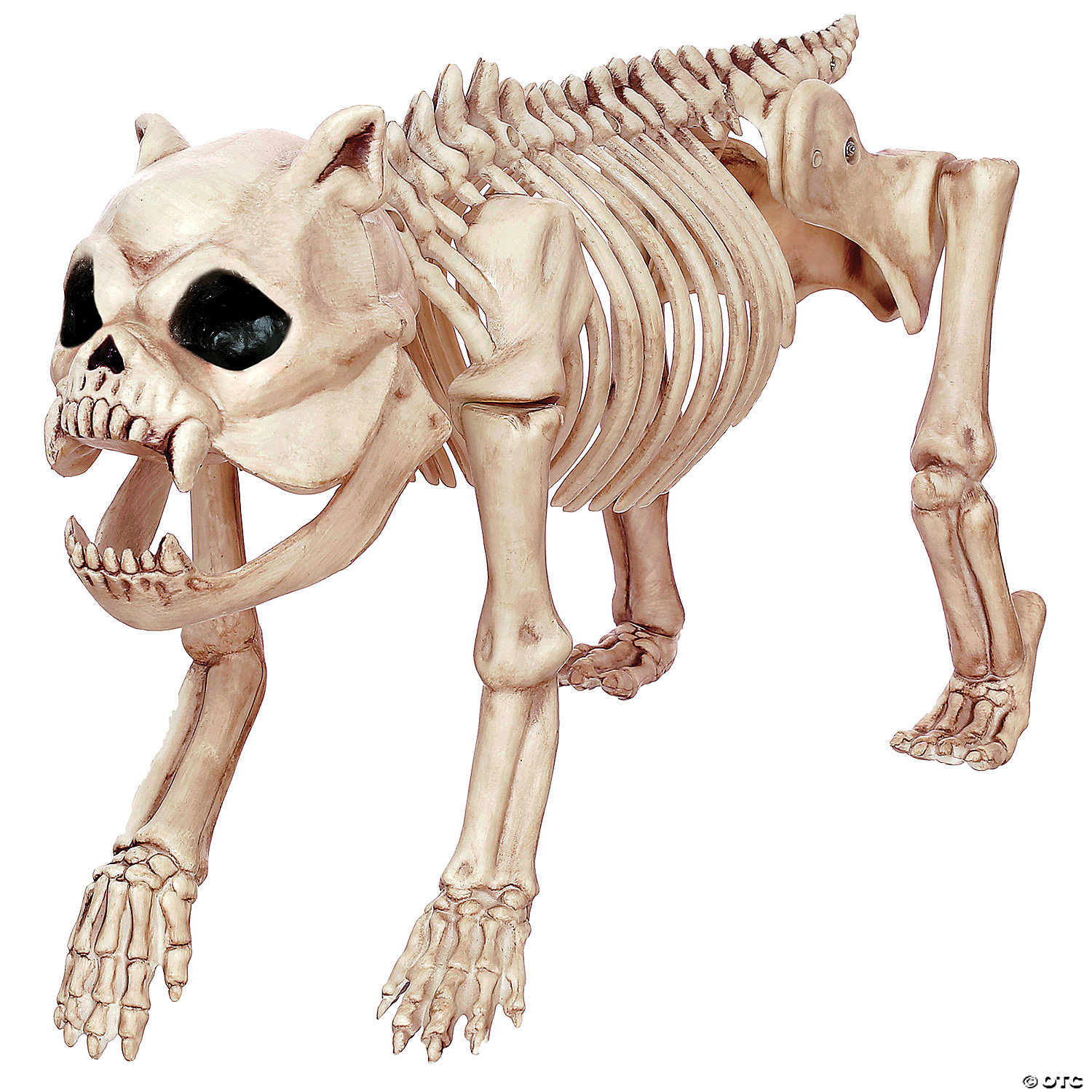 Morris Costumes Bones Dog Skeleton Halloween Decoration
